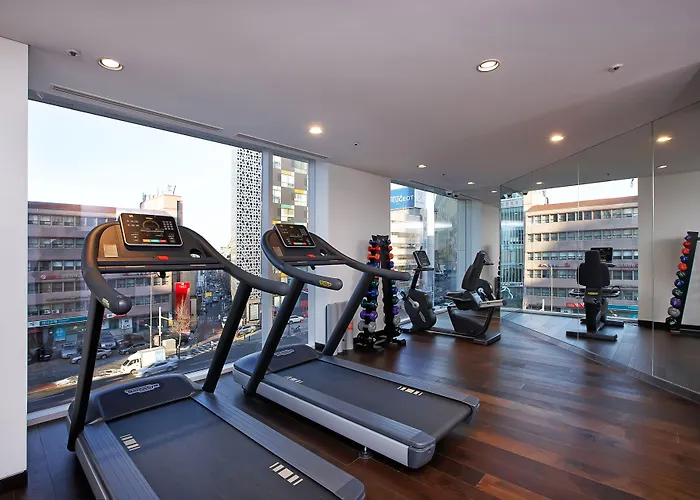 Hotel Entra Gangnam Seoel